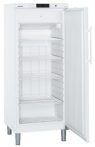 GGv 5010 ProfiLine | LIEBHERR Mélyhűtő szekrény